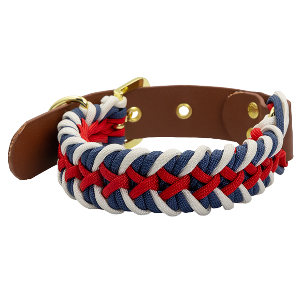 Sailor SNOOT