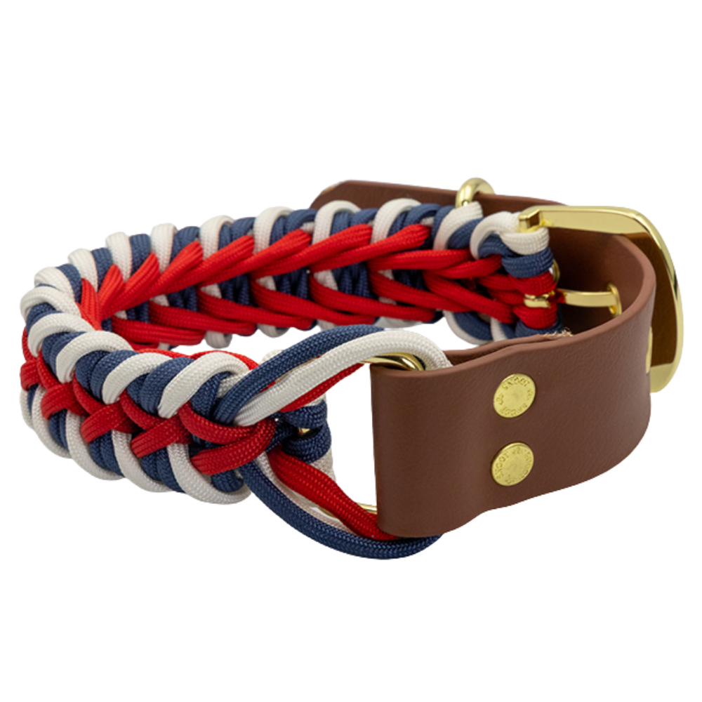 Sailor SNOOT