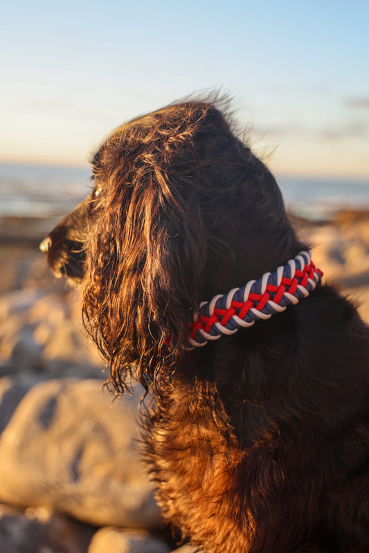 Sailor SNOOT