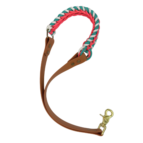 Dragon SNOOT Traffic Lead